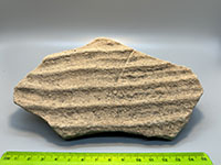 sandstone slab displaying ripple marks